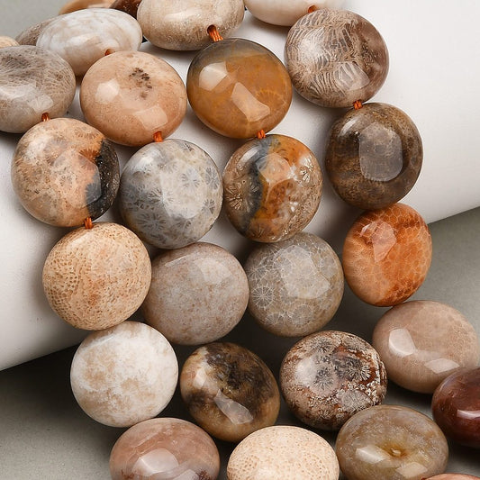 Natural Fossil Coral Beads Strands, Coin Beads